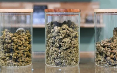 Cannabis Barcode Scanning